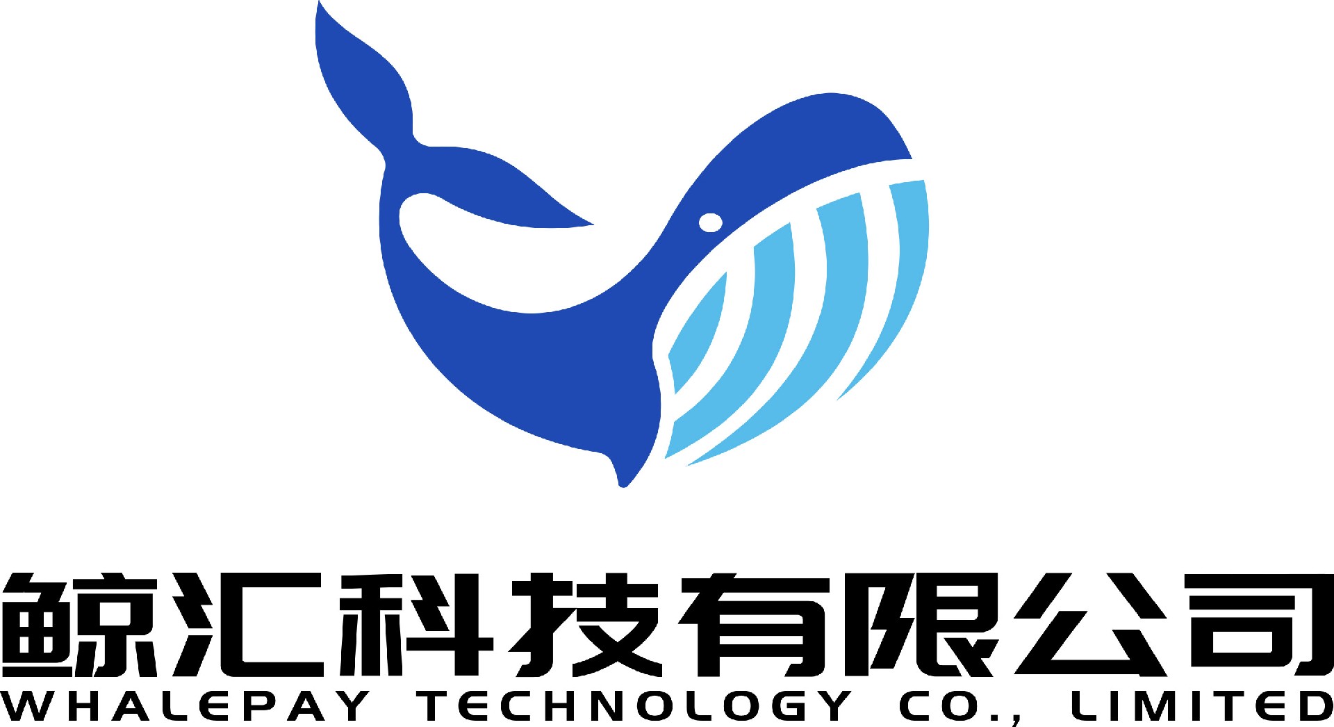 合肥鲸汇文化科技有限公司